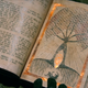 Illustration for article titled Shannara Chronicles End-of-Season Analysis